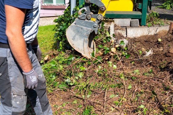 Hedge Removal Service in Santa Ana