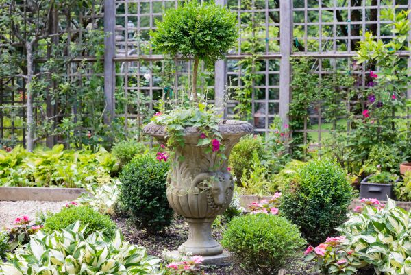 Topiary Pruning in Santa Ana