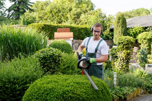 Shrubs Trimming in Santa Ana