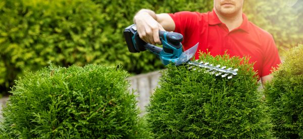 Hedge Shaping Service in Santa Ana